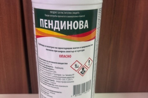 Пендинова
