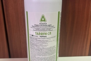 Тайфун СЛ