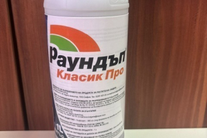 Раундъл класик Про