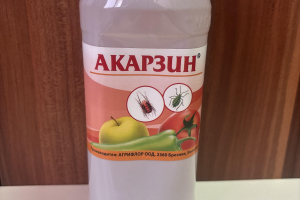 акарзин
