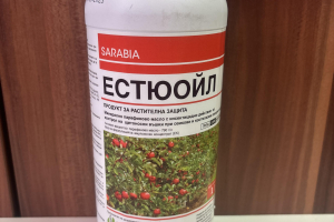 Естюойл