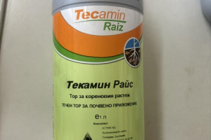 Tecamin Raiz