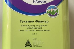 Tecamin flower 