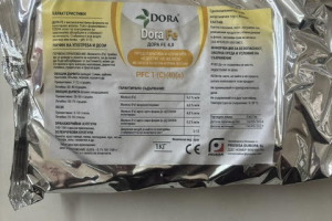 Dora Fe 4.8