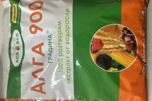 Алга 900