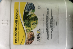солфоликид 800 CK