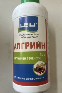 Алгрийн